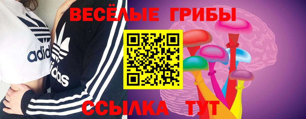 Канаш  Псилоцибиновые грибы мухоморы  Вход с VPN 