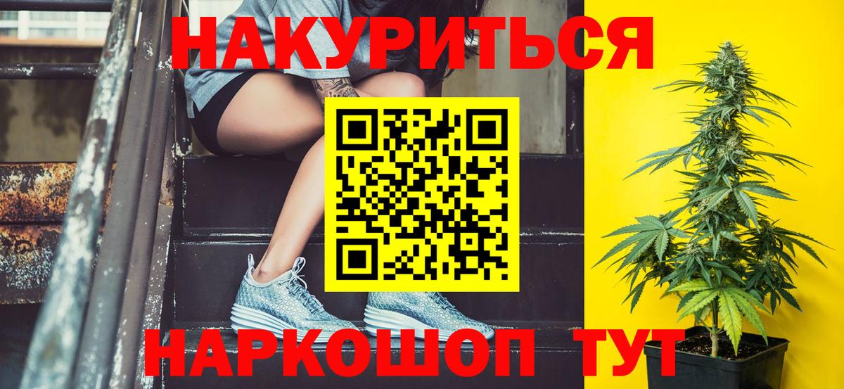 Конопля сатива Канаш